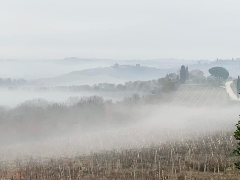 Montepulciano: Wine Tour and tasting - Practical Details and Group Experience