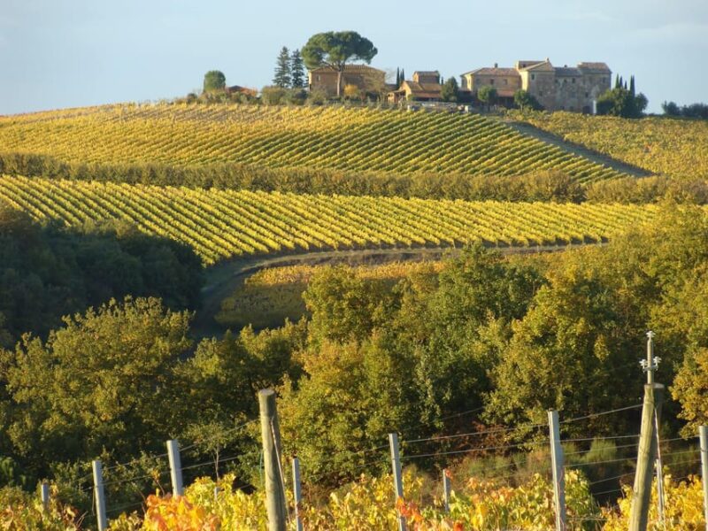 Montepulciano: Wine Tour and tasting - Booking, Flexibility, and Cancellation Policy