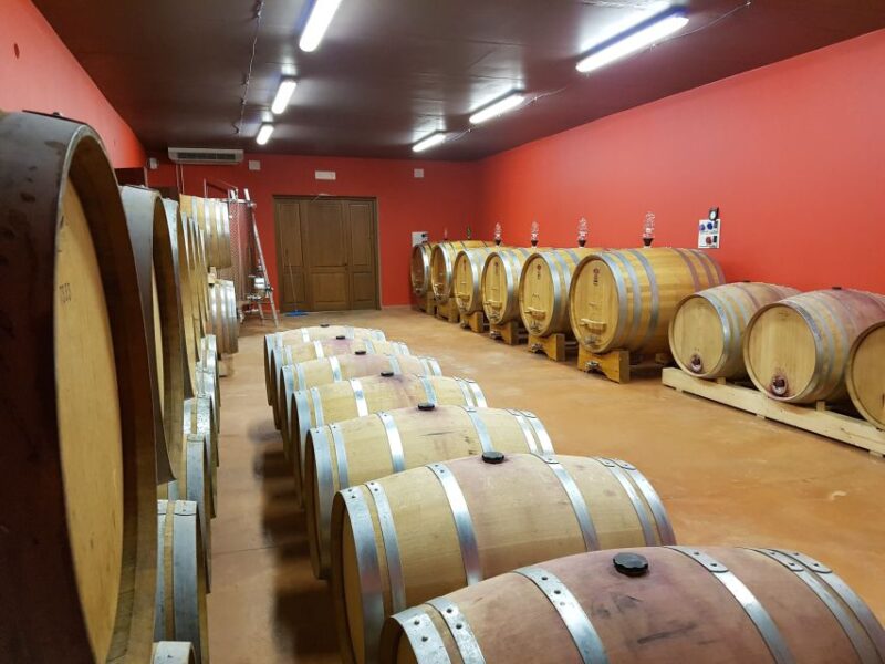 Montepulciano: Winery Tour, Tasting, and Vineyard Picnic - Exploring the Montepulciano Winery and Vineyard