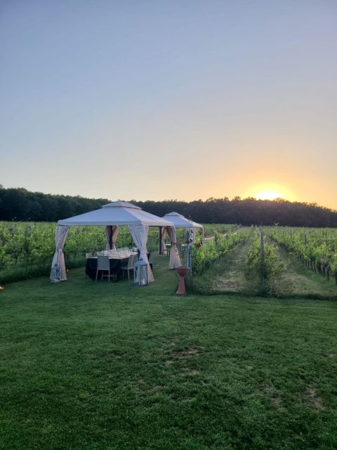 Montepulciano: Winery Tour, Tasting, and Vineyard Picnic - Who Will Appreciate This Montepulciano Tour Most?