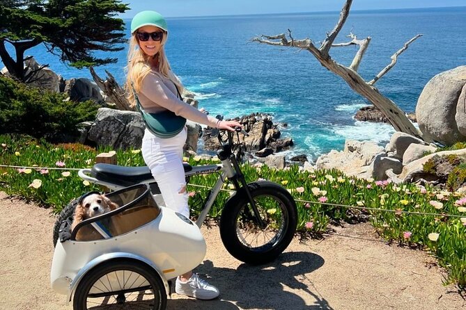 Monterey Bay Famous Dog Friendly Electric Bike and Sidecar Tour - Exploring Carmel Beach and Its Dog-Friendly Vibe