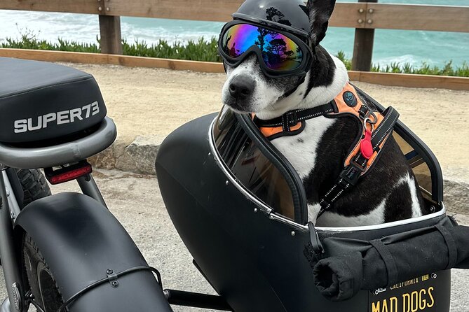 Monterey Bay Famous Dog Friendly Electric Bike and Sidecar Tour - Cruising the Scenic Road Walkway Along Carmel