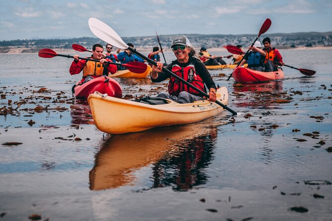 Monterey Bay Full-Day Kayak Rental: Otters, Seals and Sea Lions - Explore Monterey Bay with a Full-Day Kayak Rental