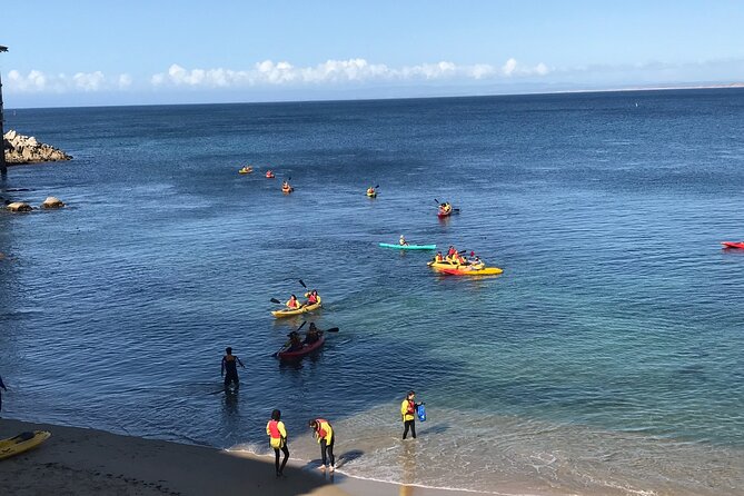 Monterey Bay Full-Day Kayak Rental: Otters, Seals and Sea Lions - Convenient Location at Cannery Row in Monterey