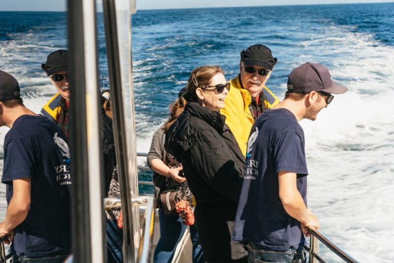 Monterey Bay: Whale Watching Tour - Insights from Marine Biologists and Naturalist Guides