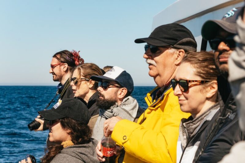 Monterey Bay: Whale Watching Tour - Pacing and Duration: Tailored to the Season