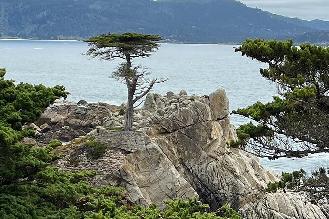 Monterey, Big Sur, 17 Mile Drive 3.5 Hour Private Tour - Key Points