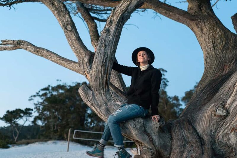 Monterey, Carmel, 17 Mile Dr, Big Sur & Mcway Falls Pvt Tour - Key Points