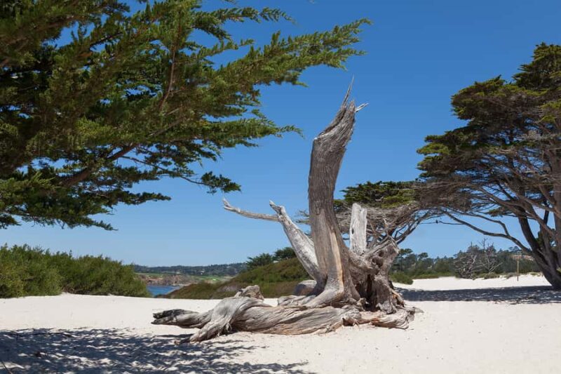 Monterey, Carmel, 17 Mile Dr, Big Sur & Mcway Falls Pvt Tour - Visiting Pebble Beach’s Legendary Golf Course and Resorts