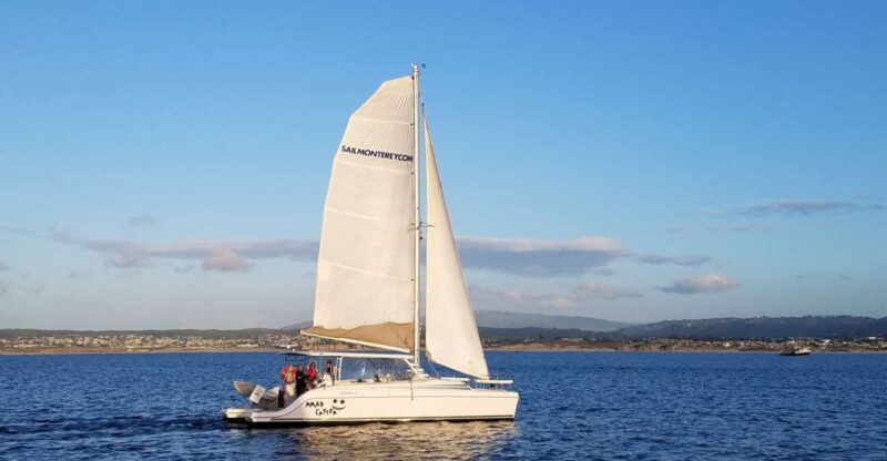 Monterey: Catamaran Sailing Cruise - Discover Monterey Bay on a 75-Minute Catamaran Sailing Cruise