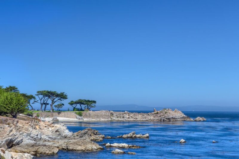Monterey Peninsula Sightseeing Tour including 17 Mile Drive - Marine Wildlife Encounters and Bird Watching Opportunities