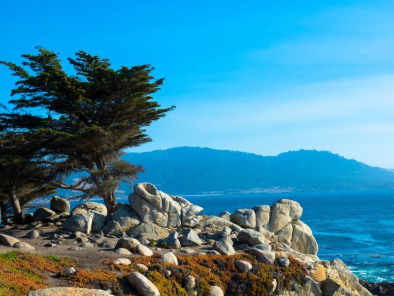 Monterey Peninsula Sightseeing Tour including 17 Mile Drive - The Iconic 17 Mile Drive and Its Famous Landmarks