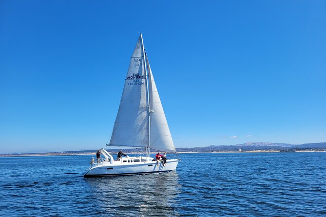 Monterey Private 3 - 4 Hour Whale Watching Cruise - Who Will Appreciate This Private Monterey Experience?