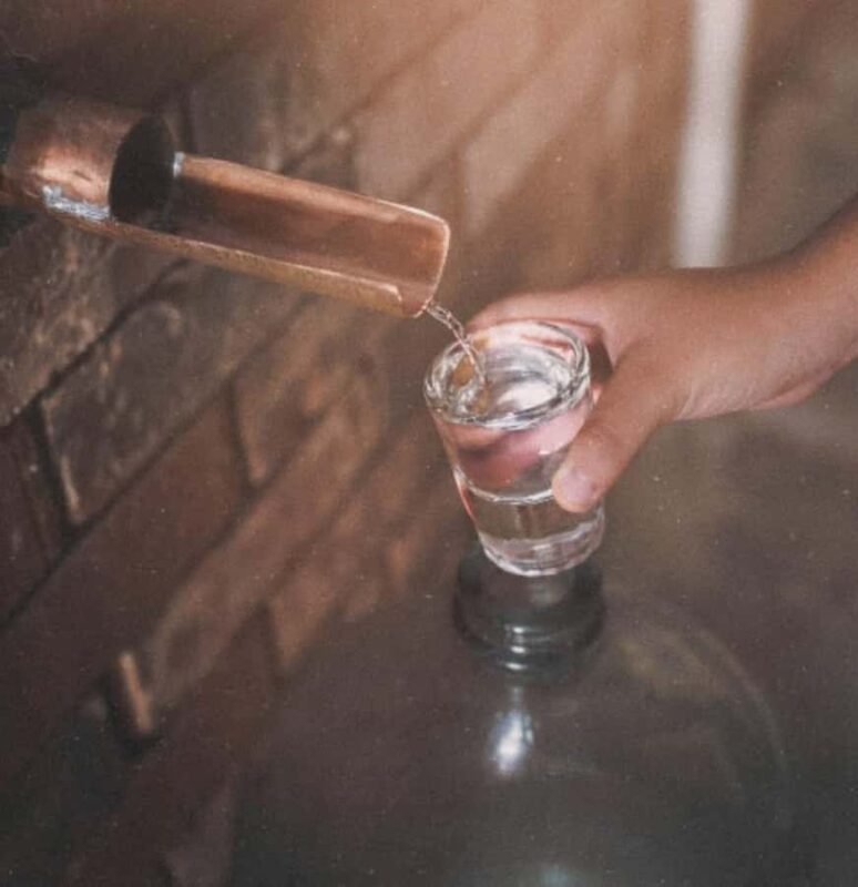 Monterrey: Mezcal Tasting - Key Points