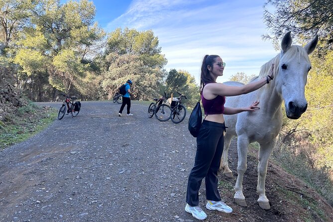 Montes of Málaga E-bike Tour - Practical Details and Physical Requirements