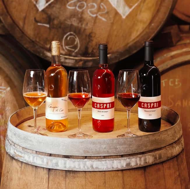 Montevarchi: Visit the estate and taste 2 wines - Key Points