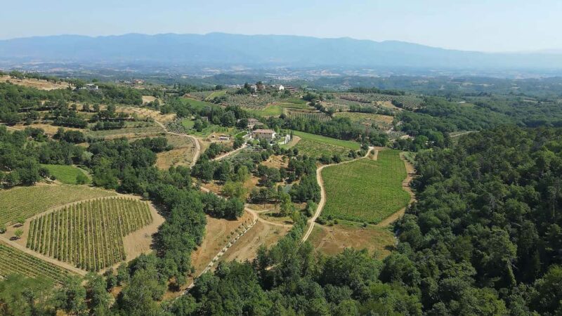 Montevarchi: Visit the estate and taste 2 wines - Exploring Fattoria di Caspris Biodynamic Approach in Tuscany
