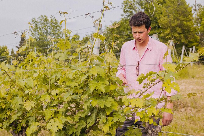 Montevecchio Isolani wine tasting experience - Practical Tips for the Tour Experience