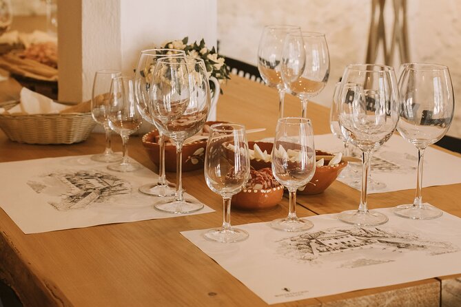 Montevecchio Isolani wine tasting experience - The Value of the Wine and Food Tasting