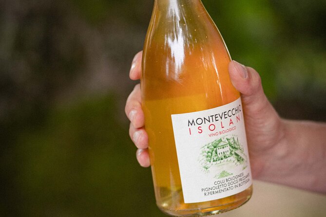 Montevecchio Isolani wine tasting experience - Who Will Love This Tour?