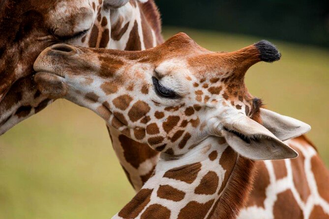 Montgomery, Selma Area Multi-Attraction Pass - Civil Rights and Social Justice Museums