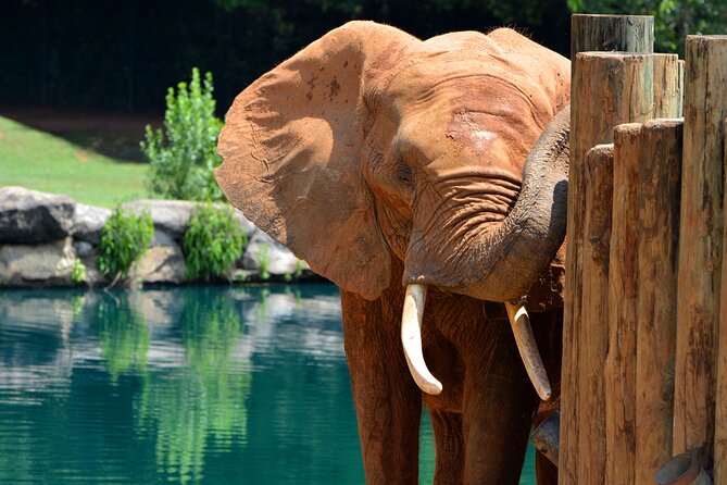 Montgomery, Selma Area Multi-Attraction Pass - Wildlife and Family-Friendly Attractions