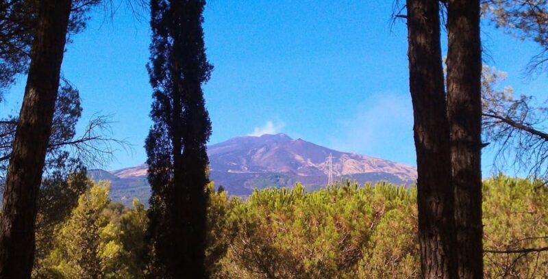 Monti Rossi Adventure Park Entry Ticket Full - How Safety Is Ensured Throughout Your Adventure