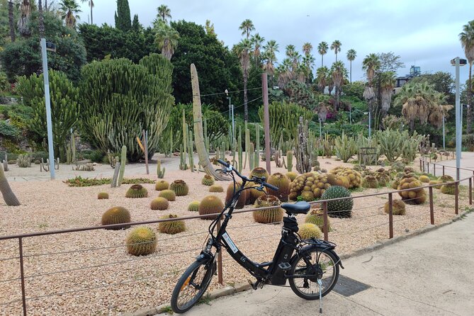 Montjuic Barcelona: Panoramic eBike Tour Views & Tapas stop - Food and Drink Stop with Cava and Tapas