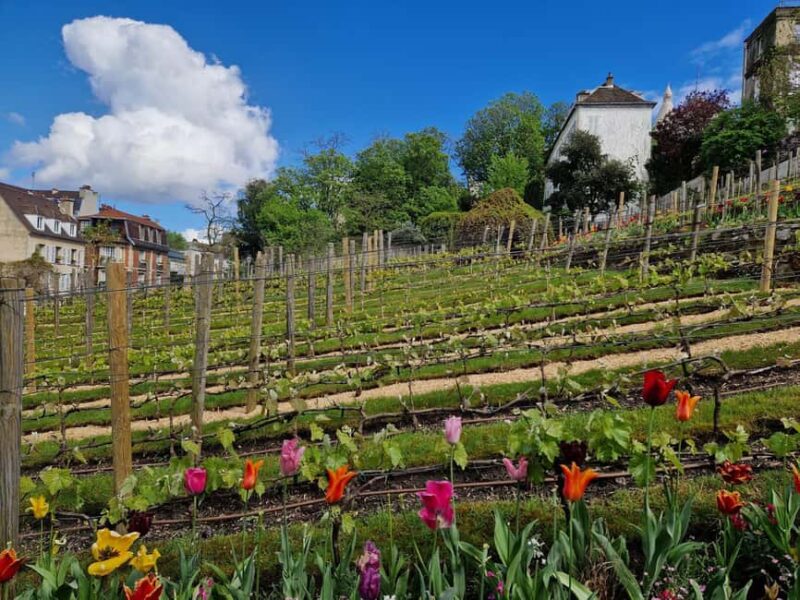 Montmartre Secret Gardens & French Goûter (snack) - Practical Details: Meeting Point, Group Size, and Accessibility