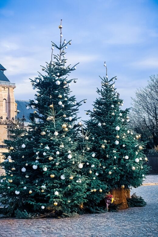 Montmartre: Semi Private Guided Stroll in Bohemian Paris - Learning About the Moulin Rouge and Its Cultural Impact