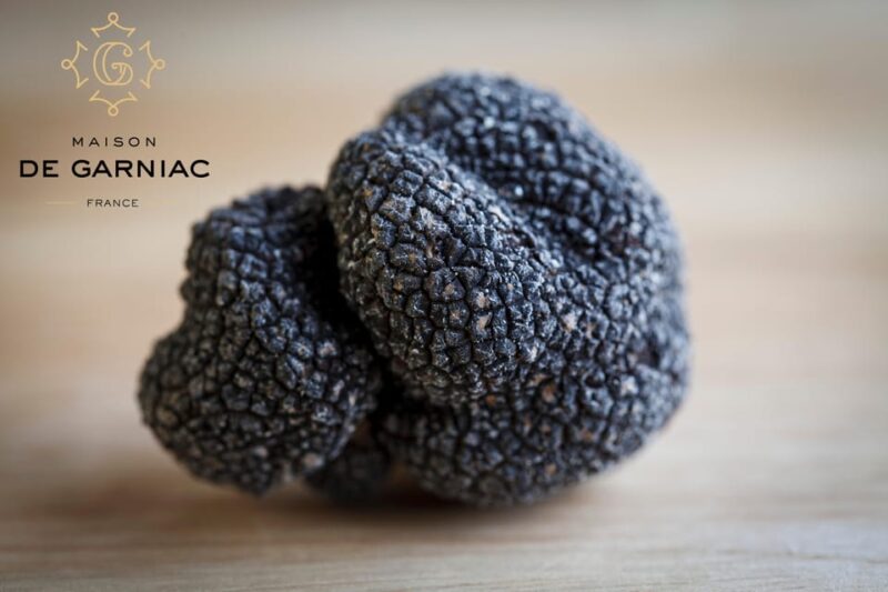 Montpellier: Full day Truffles and Chateauneuf-du-Pape Wines - Exploring the Truffle Farm: Authentic and Educational