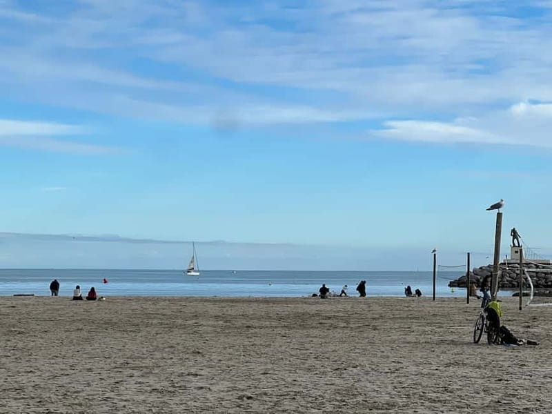 Montpellier: Guided Seaside Ride on an Electric Bike - The Tour Experience from MONTPEL A VELO