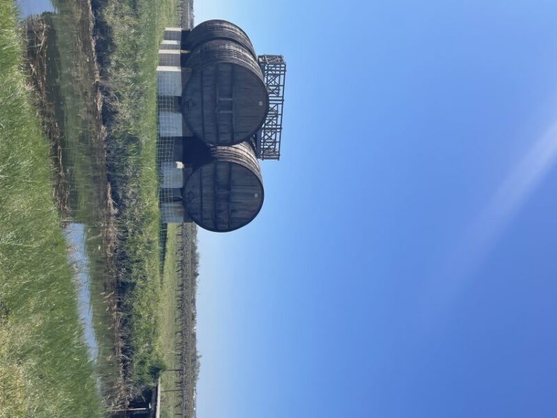 Montpellier : half day wine tour in Camargue - Key Points