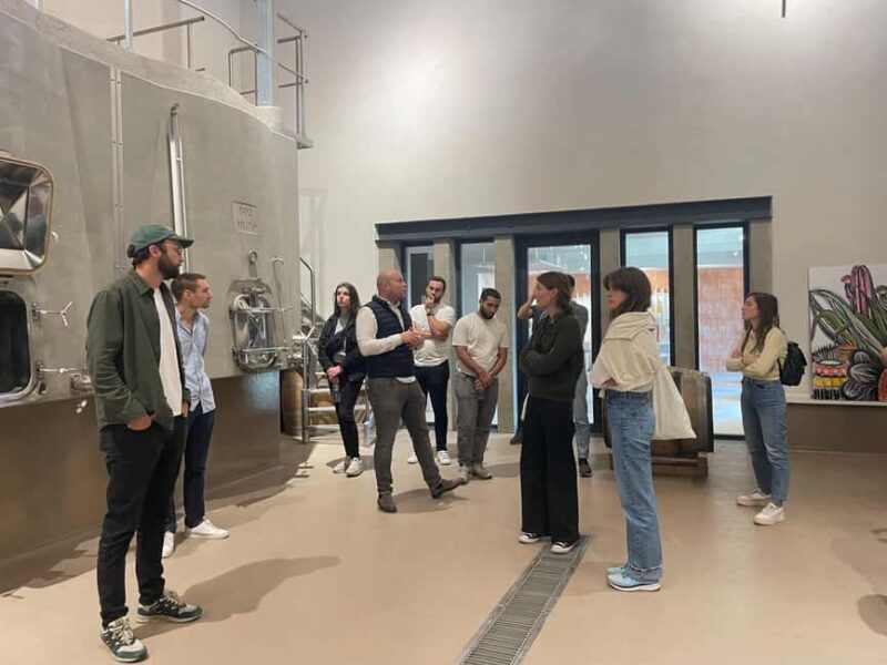 Montpellier : half day wine tour in Camargue - Enjoying a Local Picnic in the Vineyards