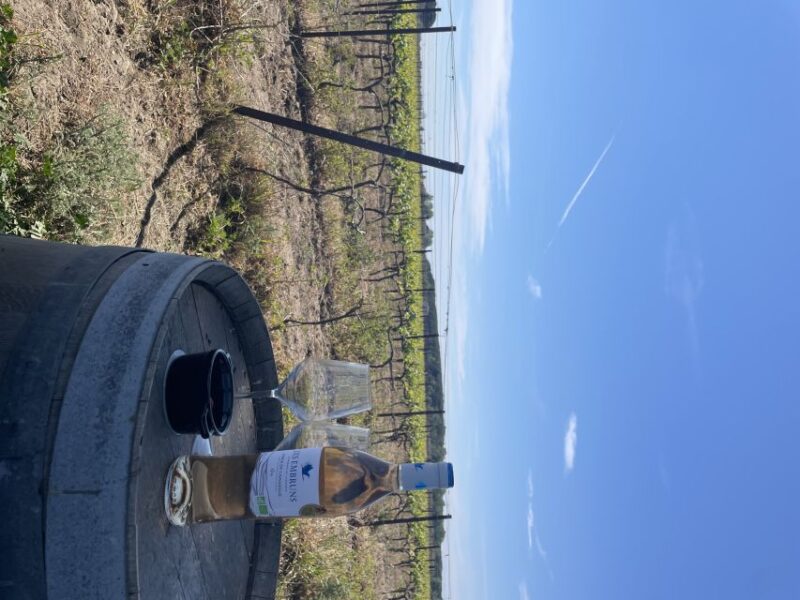 Montpellier : half day wine tour in Camargue - Accessibility and Physical Considerations