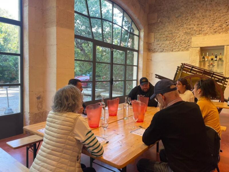 Montpellier: Half-Day Wine Tour with Lunch - The Tour Begins at Place de lEurope in Montpellier
