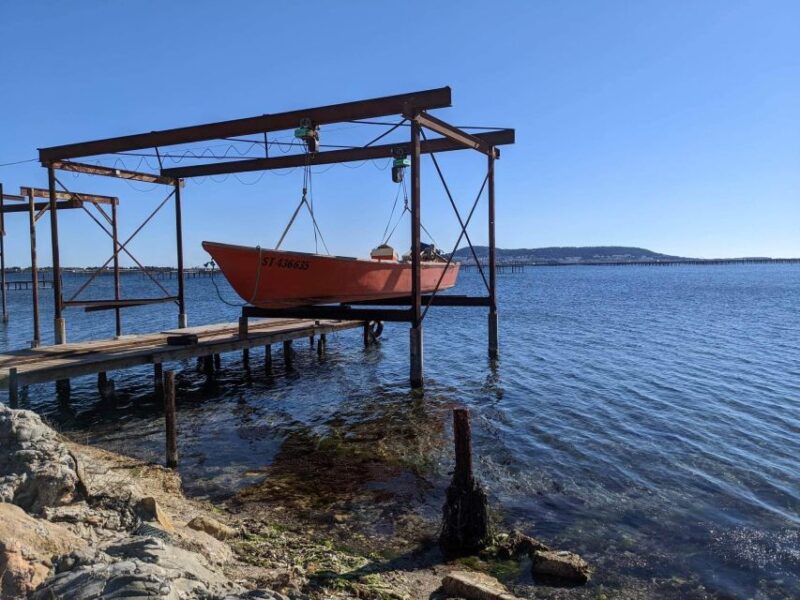 Montpellier: Half-Day Wine Tour with Lunch - Convenient Inclusions and Practical Details