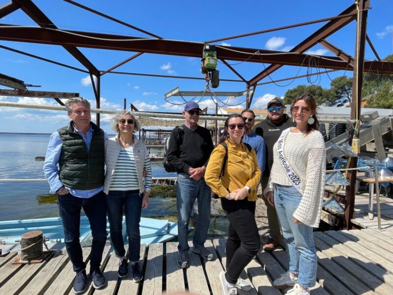 Montpellier: Half-Day Wine Tour with Lunch - Frequently Asked Questions