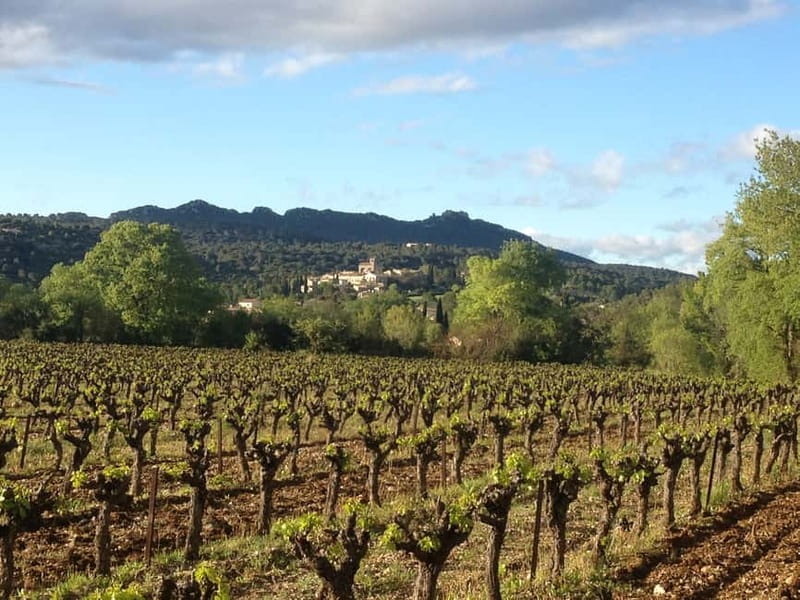 Montpellier: Pic Saint-Loup Wine Tour - Scenic Drives and Panoramic Views