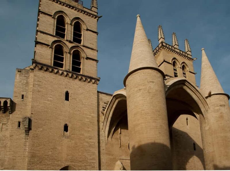 Montpellier - Private Historic Walking tour - Key Points