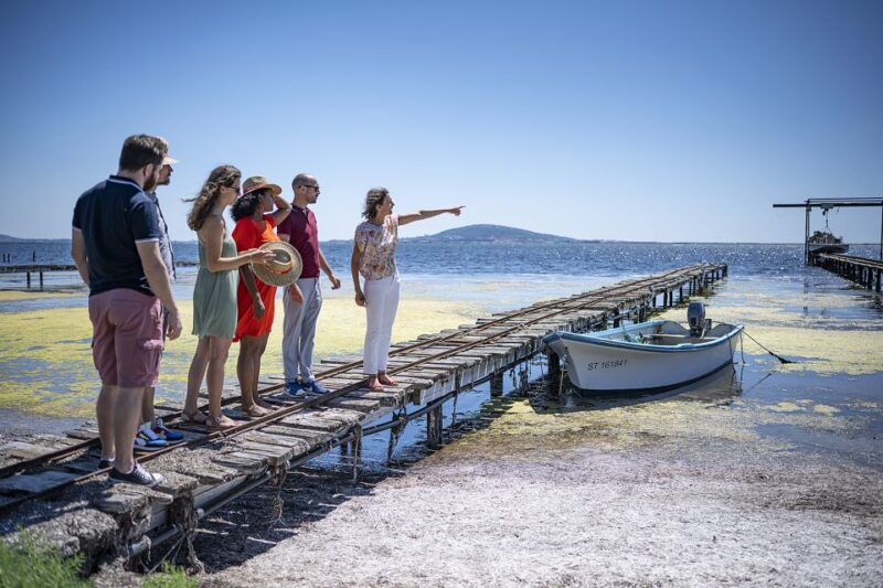 Montpellier Wine and Oyster Tour - Return Journey and Optional Stops