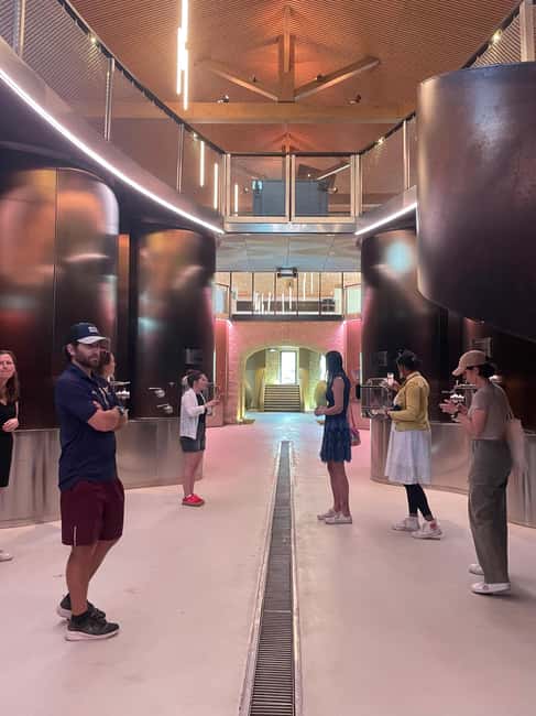 Montpellier : Wine Tour Pic St Loup - Discovering Women-Led Wine Estates in Pic Saint Loup