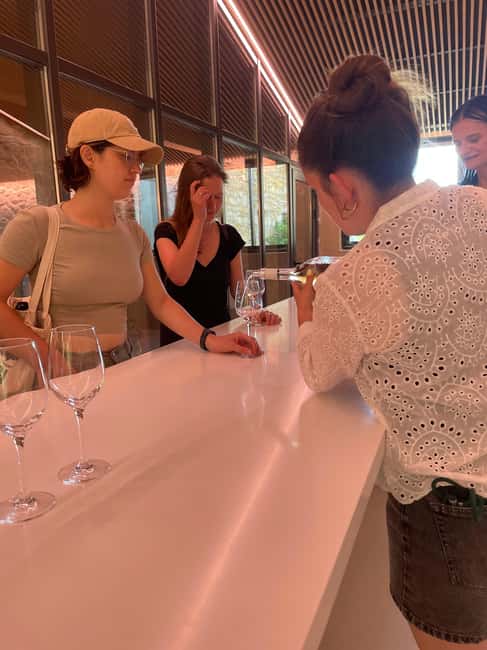 Montpellier : Wine Tour Pic St Loup - Tasting Unique Wines Including Orange and Red Rosé