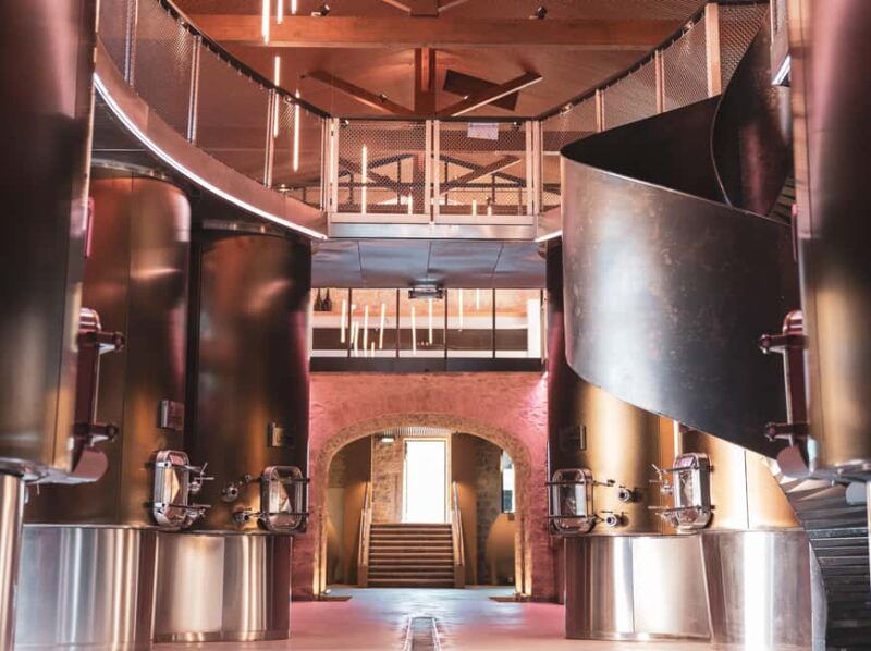 Montpellier : Wine Tour Pic St Loup - Reviewing the Experience: What Past Guests Say