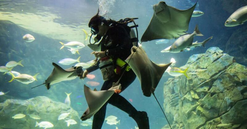 Montreal: 3-Day Toronto, Niagara Falls, Thousand Islands - The Guides: Knowledgeable and Friendly