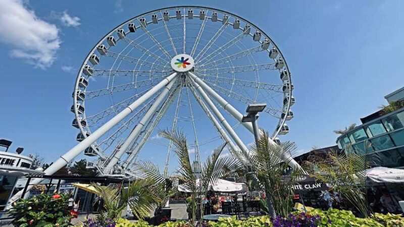 Montreal: 3-Hour Private Car Tour with Expert & Free Pickup - Visiting Old Montreal and the Old Port