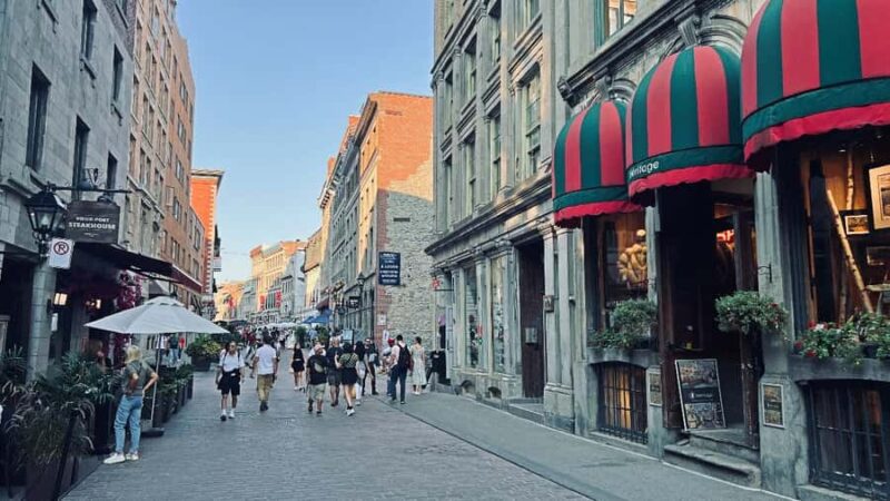 Montreal: 3-Hour Private Car Tour with Expert & Free Pickup - The Value of a Private Guide and Small Group Experience