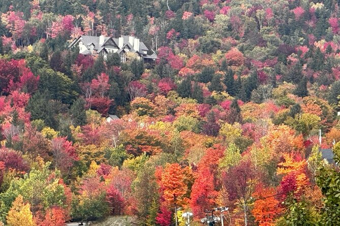 Montreal by Car: Mont-Tremblant Private Ski Resort Tour - Scenic Return Journey through Mountainous Terrain