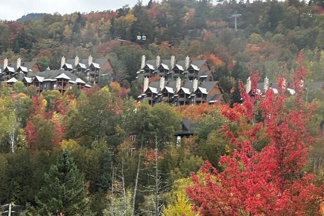 Montreal by Car: Mont-Tremblant Private Ski Resort Tour - Value and Cost Considerations
