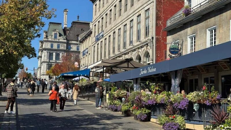 Montreal by Car: Private Montreal Tour  Hidden Gems - Comfort and Style in a Tesla Model 3